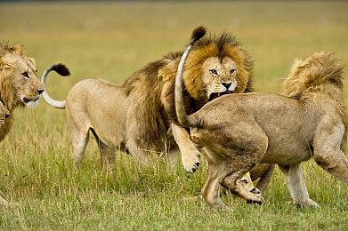 《仁王3》19分钟新实机演示 对战强悍敌人