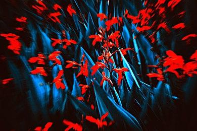 《赛博朋克2077》2.0版本新战斗演示